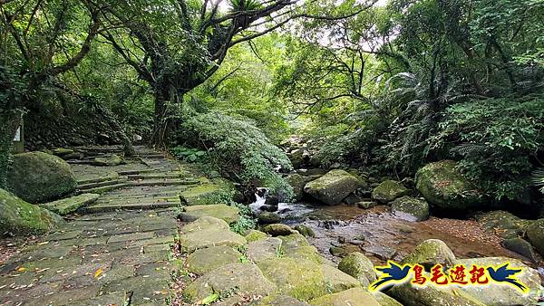 淡蘭草嶺古道(福隆-大里) (23).jpg