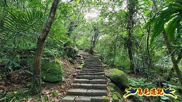 淡蘭草嶺古道(福隆-大里) (25).jpg