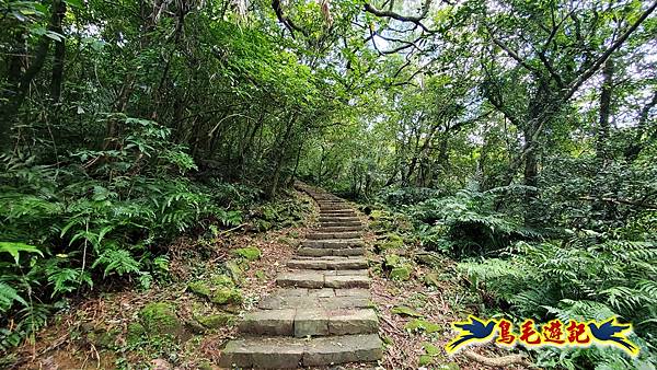 淡蘭草嶺古道(福隆-大里) (28).jpg