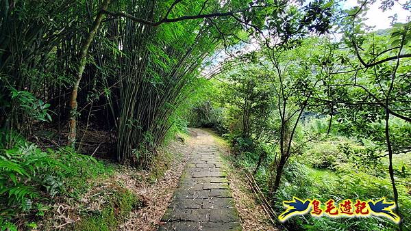 淡蘭草嶺古道(福隆-大里) (26).jpg