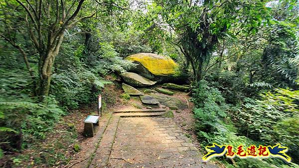 淡蘭草嶺古道(福隆-大里) (29).jpg