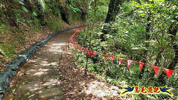 淡蘭草嶺古道(福隆-大里) (32).jpg