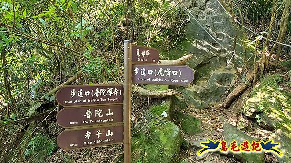平溪小三尖艷紅百合初開 (32).jpg