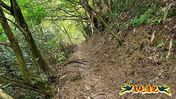 雞母嶺古道-楊廷理古道-燦光寮古道-黃金神社步道-金瓜石站 (51).jpg