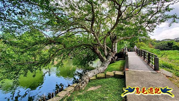 桃園龍潭大池南天宮環湖步道 (37).jpg 桃園龍潭大池南天宮環湖步道 (37).jpg