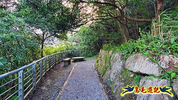 翠山步道-長壽坡-大崙尾山-大崙湖-大崙頭山-森林木棧道-碧溪步道P形 (5).jpg