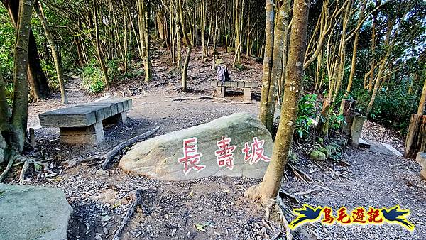 翠山步道-長壽坡-大崙尾山-大崙湖-大崙頭山-森林木棧道-碧溪步道P形 (11).jpg