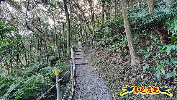 翠山步道-長壽坡-大崙尾山-大崙湖-大崙頭山-森林木棧道-碧溪步道P形 (9).jpg