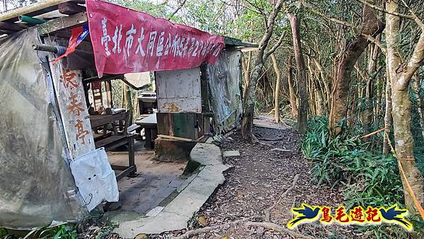 翠山步道-長壽坡-大崙尾山-大崙湖-大崙頭山-森林木棧道-碧溪步道P形 (16).jpg