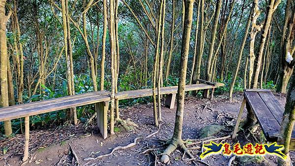 翠山步道-長壽坡-大崙尾山-大崙湖-大崙頭山-森林木棧道-碧溪步道P形 (13).jpg