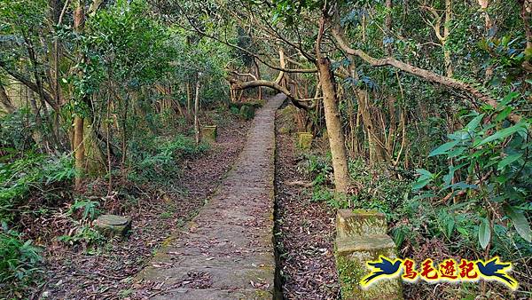 翠山步道-長壽坡-大崙尾山-大崙湖-大崙頭山-森林木棧道-碧溪步道P形 (18).jpg 翠山步道-長壽坡-大崙尾山-大崙湖-大崙頭山-森林木棧道-碧溪步道P形 (18).jpg