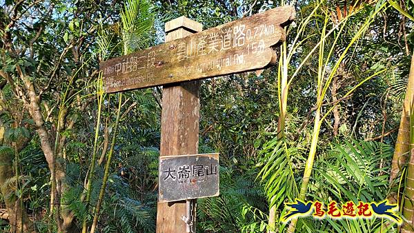 翠山步道-長壽坡-大崙尾山-大崙湖-大崙頭山-森林木棧道-碧溪步道P形 (23).jpg