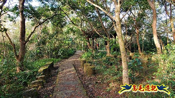 翠山步道-長壽坡-大崙尾山-大崙湖-大崙頭山-森林木棧道-碧溪步道P形 (21).jpg