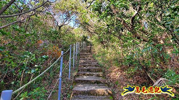 翠山步道-長壽坡-大崙尾山-大崙湖-大崙頭山-森林木棧道-碧溪步道P形 (20).jpg 翠山步道-長壽坡-大崙尾山-大崙湖-大崙頭山-森林木棧道-碧溪步道P形 (20).jpg