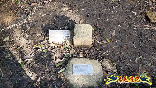 翠山步道-長壽坡-大崙尾山-大崙湖-大崙頭山-森林木棧道-碧溪步道P形 (22).jpg 翠山步道-長壽坡-大崙尾山-大崙湖-大崙頭山-森林木棧道-碧溪步道P形 (22).jpg