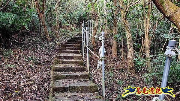 翠山步道-長壽坡-大崙尾山-大崙湖-大崙頭山-森林木棧道-碧溪步道P形 (19).jpg