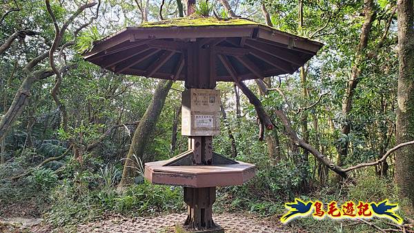翠山步道-長壽坡-大崙尾山-大崙湖-大崙頭山-森林木棧道-碧溪步道P形 (27).jpg
