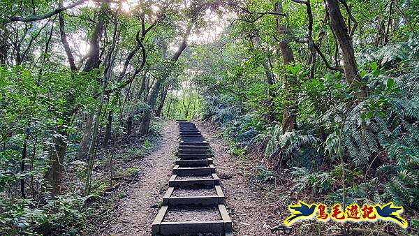 翠山步道-長壽坡-大崙尾山-大崙湖-大崙頭山-森林木棧道-碧溪步道P形 (26).jpg 翠山步道-長壽坡-大崙尾山-大崙湖-大崙頭山-森林木棧道-碧溪步道P形 (26).jpg