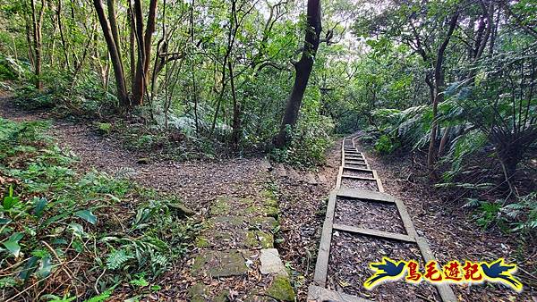 翠山步道-長壽坡-大崙尾山-大崙湖-大崙頭山-森林木棧道-碧溪步道P形 (25).jpg