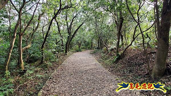 翠山步道-長壽坡-大崙尾山-大崙湖-大崙頭山-森林木棧道-碧溪步道P形 (29).jpg