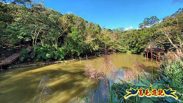 翠山步道-長壽坡-大崙尾山-大崙湖-大崙頭山-森林木棧道-碧溪步道P形 (33).jpg