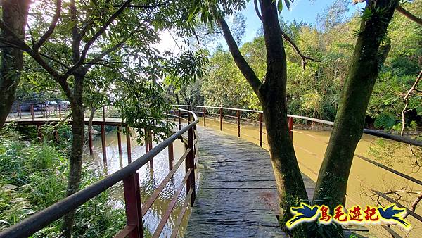 翠山步道-長壽坡-大崙尾山-大崙湖-大崙頭山-森林木棧道-碧溪步道P形 (32).jpg 翠山步道-長壽坡-大崙尾山-大崙湖-大崙頭山-森林木棧道-碧溪步道P形 (32).jpg