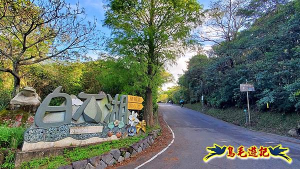翠山步道-長壽坡-大崙尾山-大崙湖-大崙頭山-森林木棧道-碧溪步道P形 (31).jpg