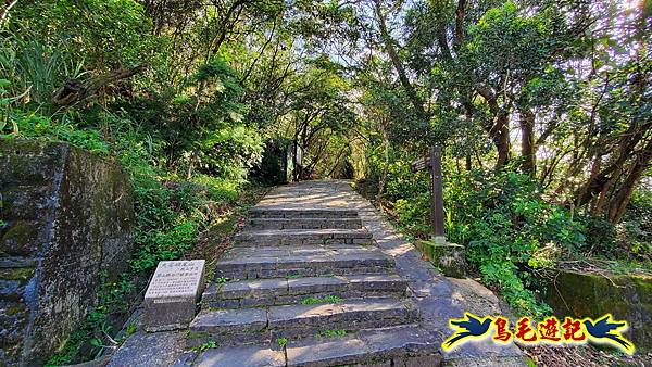 翠山步道-長壽坡-大崙尾山-大崙湖-大崙頭山-森林木棧道-碧溪步道P形 (35).jpg