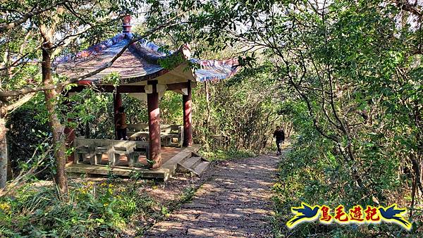 翠山步道-長壽坡-大崙尾山-大崙湖-大崙頭山-森林木棧道-碧溪步道P形 (47).jpg