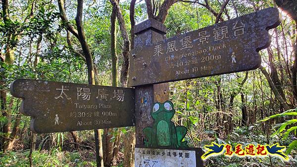 翠山步道-長壽坡-大崙尾山-大崙湖-大崙頭山-森林木棧道-碧溪步道P形 (51).jpg