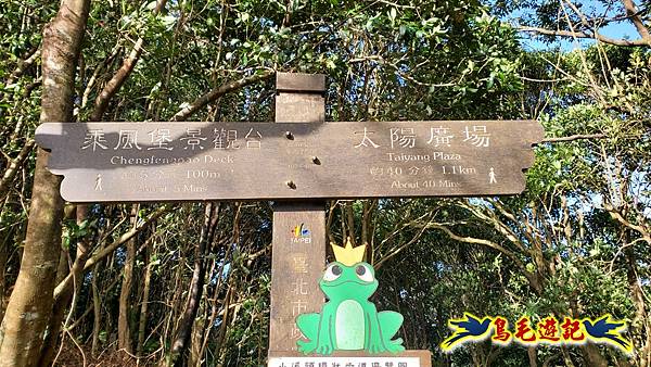 翠山步道-長壽坡-大崙尾山-大崙湖-大崙頭山-森林木棧道-碧溪步道P形 (49).jpg