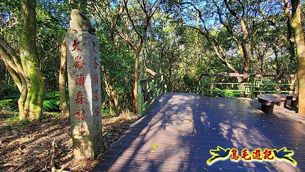 翠山步道-長壽坡-大崙尾山-大崙湖-大崙頭山-森林木棧道-碧溪步道P形 (53).jpg