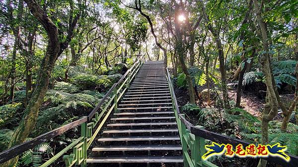 翠山步道-長壽坡-大崙尾山-大崙湖-大崙頭山-森林木棧道-碧溪步道P形 (55).jpg