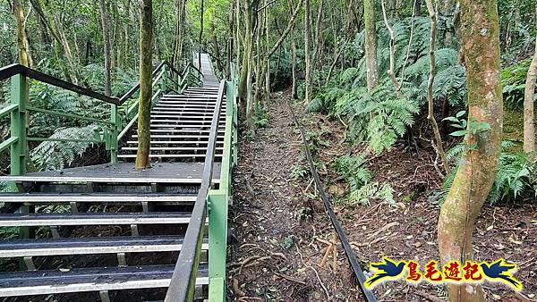 翠山步道-長壽坡-大崙尾山-大崙湖-大崙頭山-森林木棧道-碧溪步道P形 (63).jpg