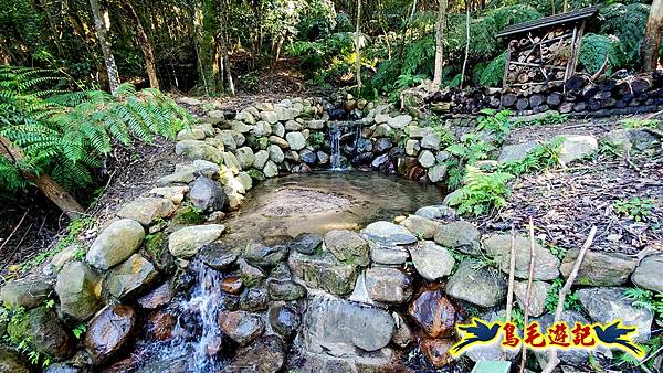 翠山步道-長壽坡-大崙尾山-大崙湖-大崙頭山-森林木棧道-碧溪步道P形 (69).jpg