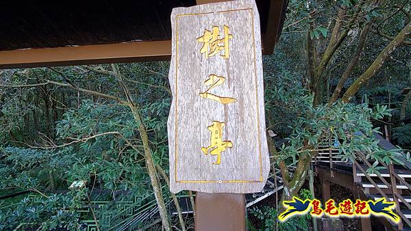 翠山步道-長壽坡-大崙尾山-大崙湖-大崙頭山-森林木棧道-碧溪步道P形 (65).jpg