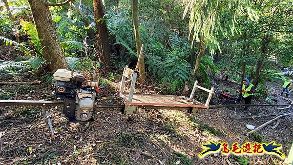 翠山步道-長壽坡-大崙尾山-大崙湖-大崙頭山-森林木棧道-碧溪步道P形 (67).jpg 翠山步道-長壽坡-大崙尾山-大崙湖-大崙頭山-森林木棧道-碧溪步道P形 (67).jpg