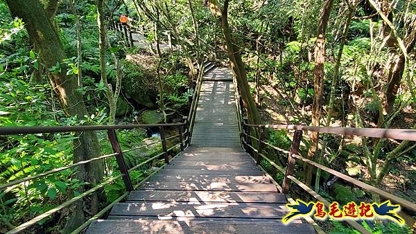 翠山步道-長壽坡-大崙尾山-大崙湖-大崙頭山-森林木棧道-碧溪步道P形 (79).jpg