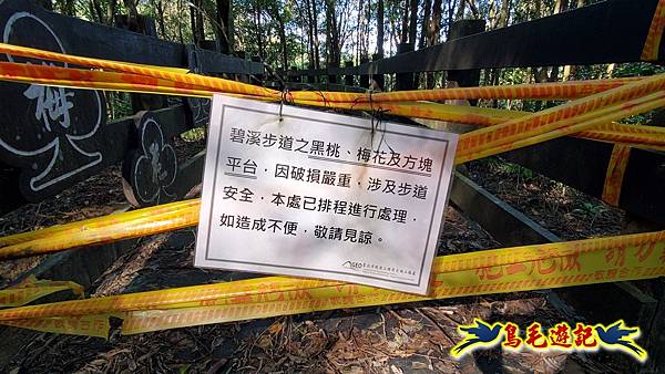 翠山步道-長壽坡-大崙尾山-大崙湖-大崙頭山-森林木棧道-碧溪步道P形 (77).jpg