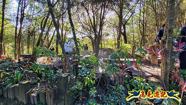 翠山步道-長壽坡-大崙尾山-大崙湖-大崙頭山-森林木棧道-碧溪步道P形 (82).jpg 翠山步道-長壽坡-大崙尾山-大崙湖-大崙頭山-森林木棧道-碧溪步道P形 (82).jpg