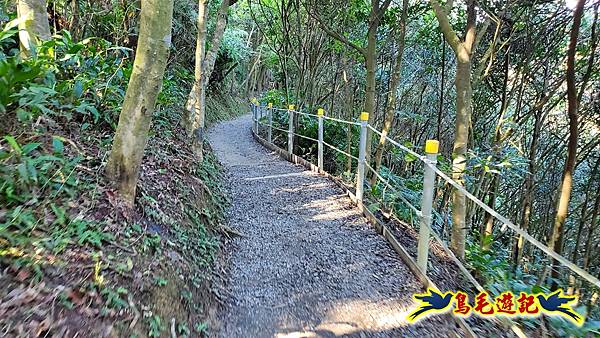 翠山步道-長壽坡-大崙尾山-大崙湖-大崙頭山-森林木棧道-碧溪步道P形 (83).jpg