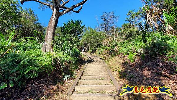 翠山步道-長壽坡-大崙尾山-大崙湖-大崙頭山-森林木棧道-碧溪步道P形 (81).jpg