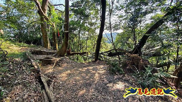 長壽山-成福山-十八羅漢岩-石門內尖山-永寧站 (15).jpg