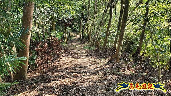 長壽山-成福山-十八羅漢岩-石門內尖山-永寧站 (18).jpg