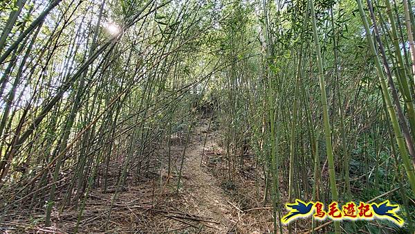 長壽山-成福山-十八羅漢岩-石門內尖山-永寧站 (20).jpg