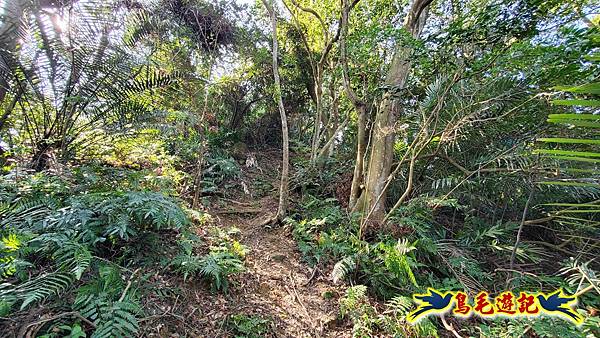 長壽山-成福山-十八羅漢岩-石門內尖山-永寧站 (19).jpg