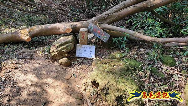 長壽山-成福山-十八羅漢岩-石門內尖山-永寧站 (27).jpg