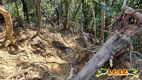 長壽山-成福山-十八羅漢岩-石門內尖山-永寧站 (29).jpg