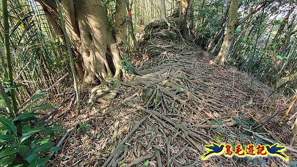 長壽山-成福山-十八羅漢岩-石門內尖山-永寧站 (32).jpg