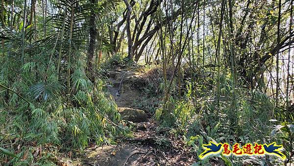 長壽山-成福山-十八羅漢岩-石門內尖山-永寧站 (31).jpg
